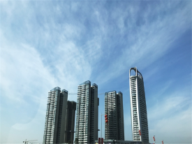 四川金雁房地產開發